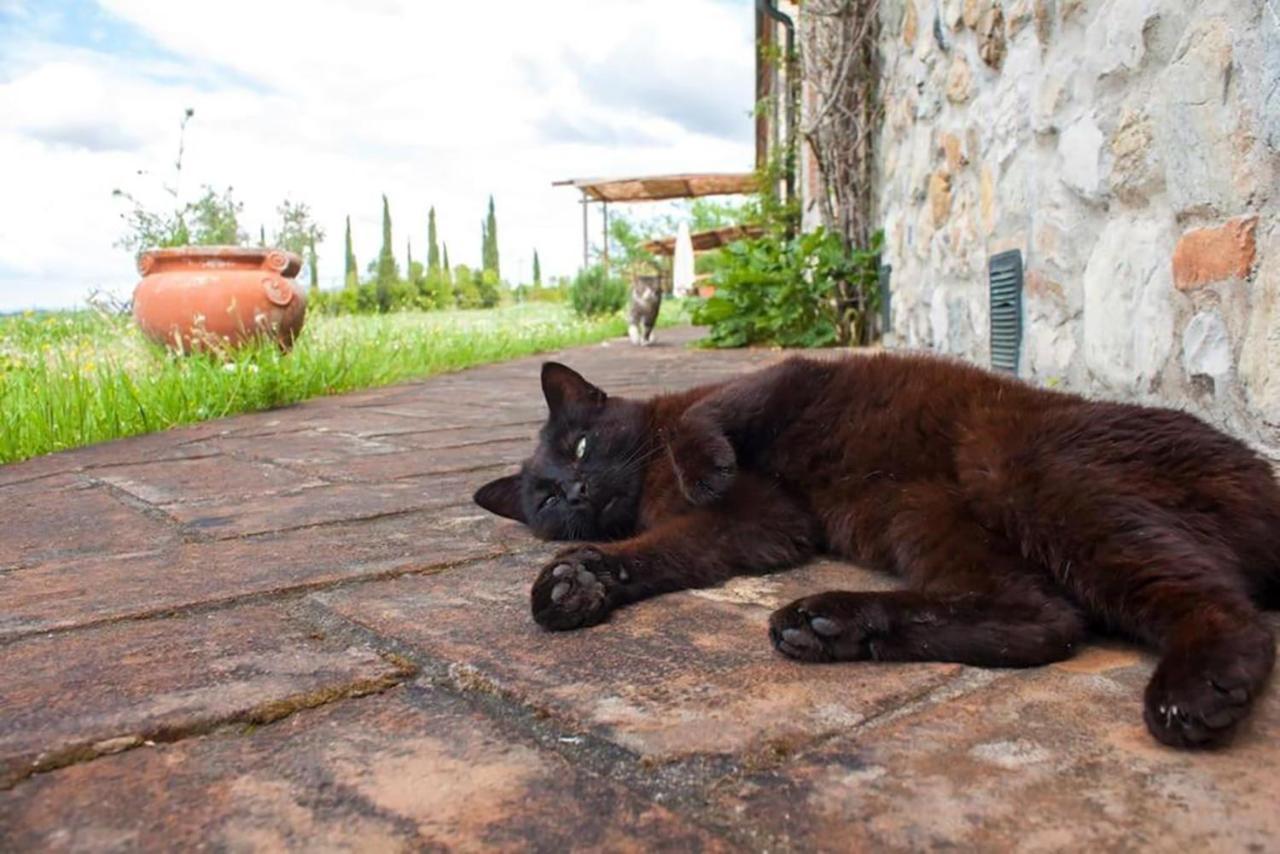 Agriturismo Fattoria Di Statiano بومارانسي المظهر الخارجي الصورة